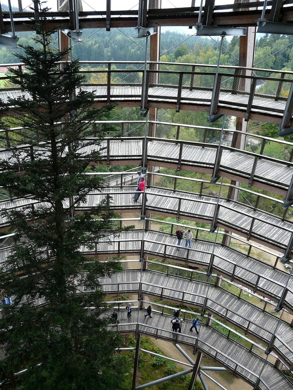 Inspiring personal growth journey