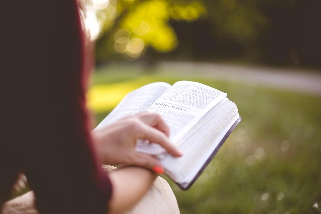 Hands reaching out symbolizing connection and support