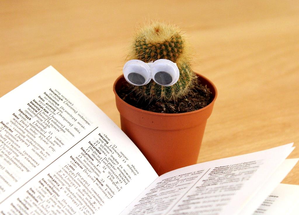 Scientific data visualization showing personal growth metrics and transformation analytics